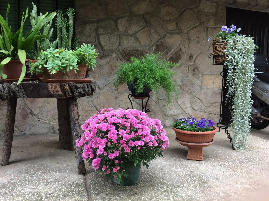 Tencarola B & B Buitenkant foto